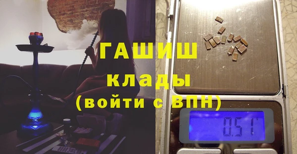 дживик Няндома