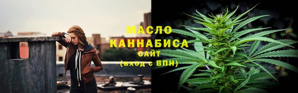 дживик Няндома
