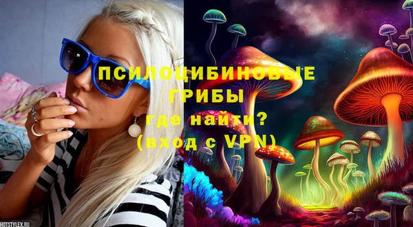 дживик Няндома