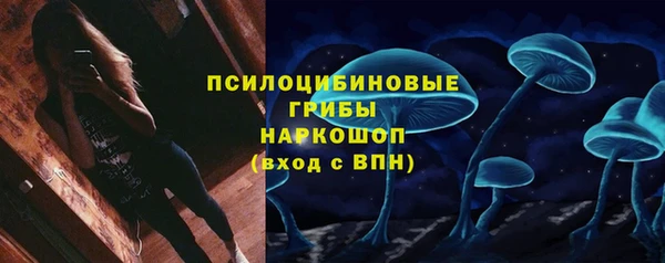 дживик Няндома