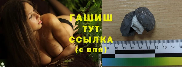 дживик Няндома
