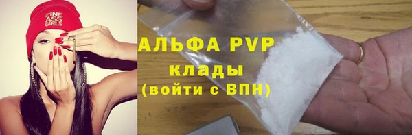 дживик Няндома