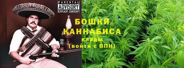 дживик Няндома