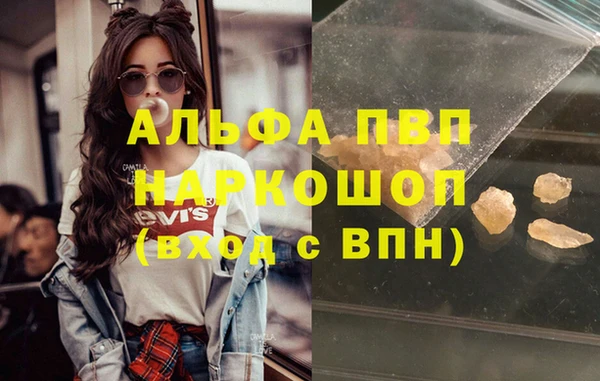 дживик Няндома