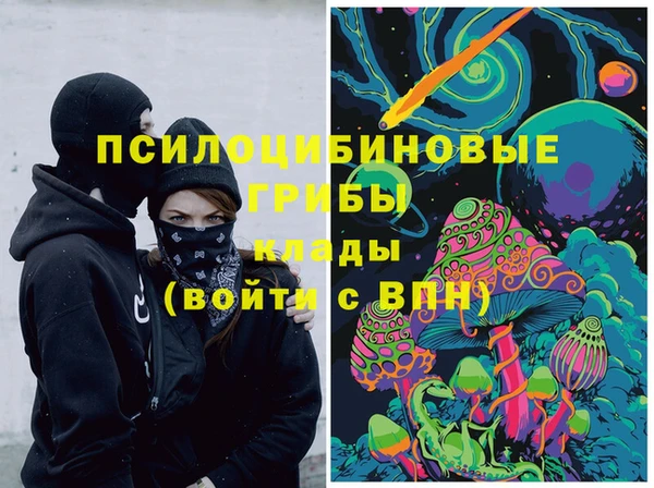 марки lsd Бородино